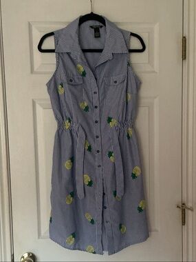 Milleniumzy Blue and White Striped  Button-Down Shirt dres with Pineapple Detail